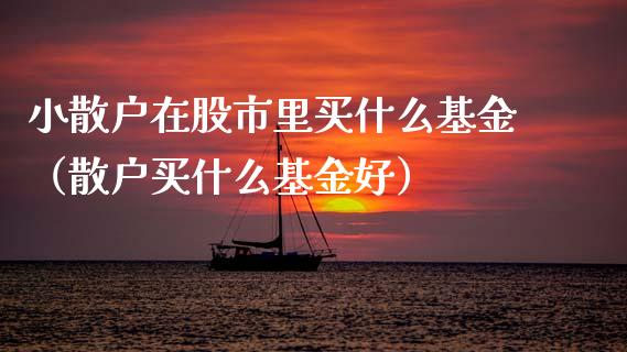 小散户在股市里买什么基金（散户买什么基金好）_https://www.ltsssb.com_基金频道_第1张