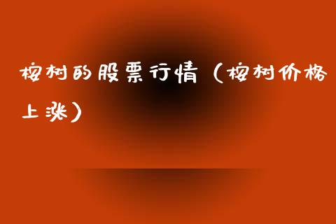 桉树的股票行情（桉树价格上涨）_https://www.ltsssb.com_股市分析_第1张