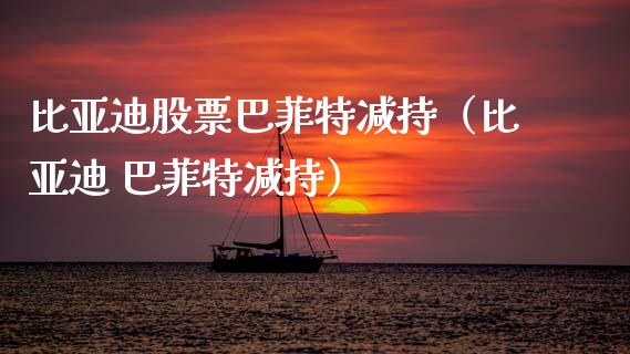 比亚迪股票巴菲特减持（比亚迪 巴菲特减持）_https://www.ltsssb.com_新股数据_第1张