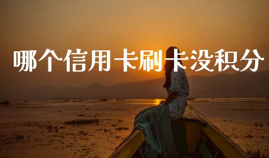 哪个信用卡刷卡没积分_https://www.ltsssb.com_国际财经_第1张
