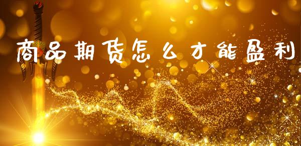 商品期货怎么才能盈利_期货密码_第1张_IT财经网 商品期货怎么才能盈利_https://www.ltsssb.com_期货密码_第1张