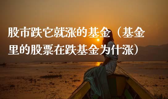 股市跌它就涨的基金（基金里的股票在跌基金为什涨）_https://www.ltsssb.com_基金频道_第1张