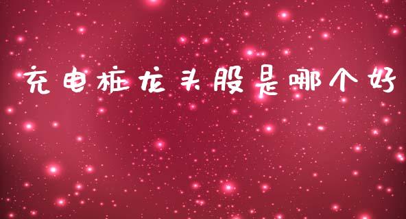 充电桩龙头股是哪个好_https://www.ltsssb.com_期货在线_第1张
