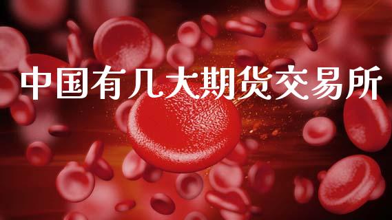 中国有几大期货交易所_https://www.ltsssb.com_股票理论_第1张