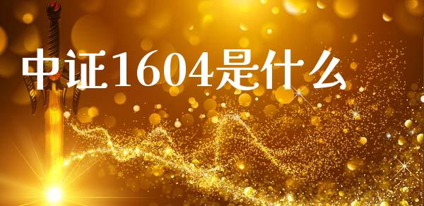 中证1604是什么_https://www.ltsssb.com_期货在线_第1张