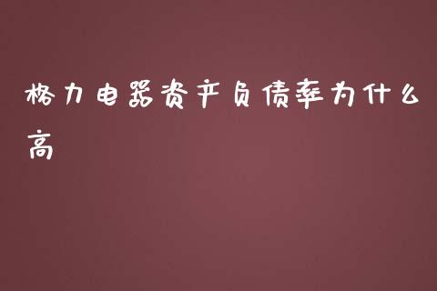 格力电器资产负债率为什么高_https://www.ltsssb.com_基金频道_第1张