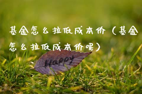 基金怎么拉低成本价（基金怎么拉低成本价呢）_https://www.ltsssb.com_基金频道_第1张
