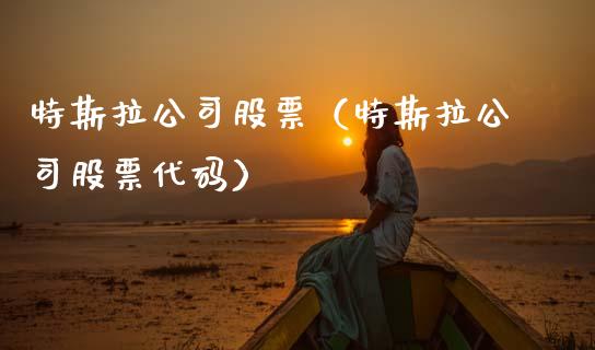 特斯拉公司股票（特斯拉公司股票代码）_https://www.ltsssb.com_股票理论_第1张