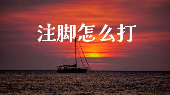 注脚怎么打_https://www.ltsssb.com_国际财经_第1张