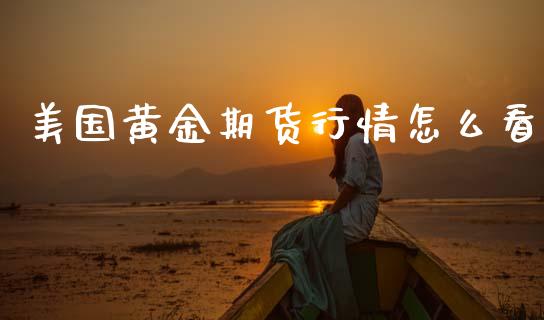 美国黄金期货行情怎么看_https://www.ltsssb.com_期货密码_第1张