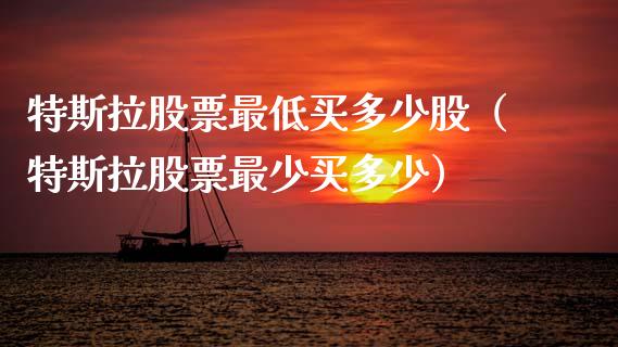 特斯拉股票最低买多少股（特斯拉股票最少买多少）_https://www.ltsssb.com_股市分析_第1张