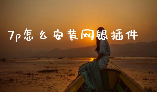7p怎么安装网银插件_https://www.ltsssb.com_股票理论_第1张