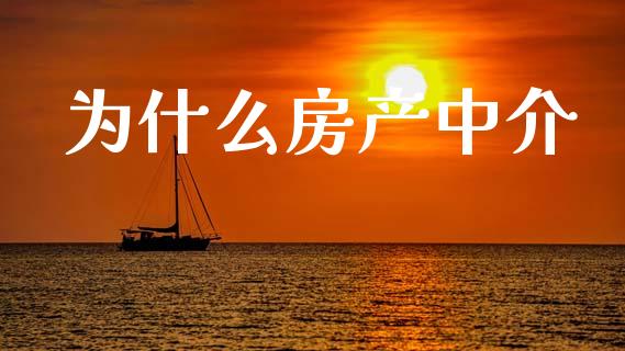 为什么房产中介_https://www.ltsssb.com_基金频道_第1张