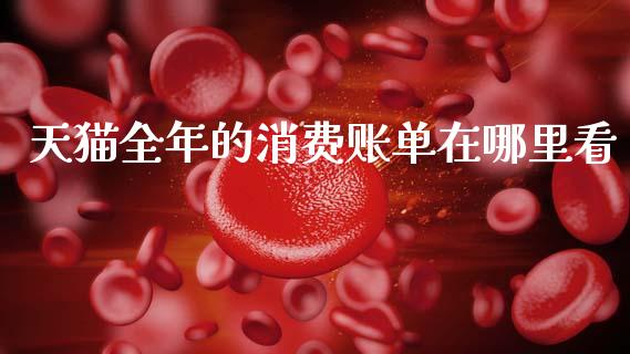 天猫全年的消费账单在哪里看_https://www.ltsssb.com_新股数据_第1张