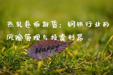 热轧卷板期货：钢铁行业的风险管理与投资利器_https://www.ltsssb.com_新股数据_第1张
