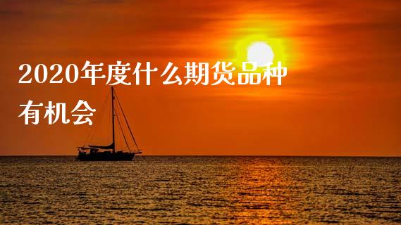2020年度什么期货品种有机会_https://www.ltsssb.com_国际财经_第1张