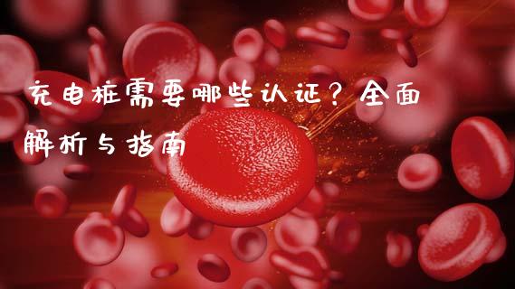 充电桩需要哪些认证?全面解析与指南_期货密码_第1张_IT财经网 充电桩需要哪些认证?全面解析与指南_https://www.ltsssb.com_期货密码_第1张