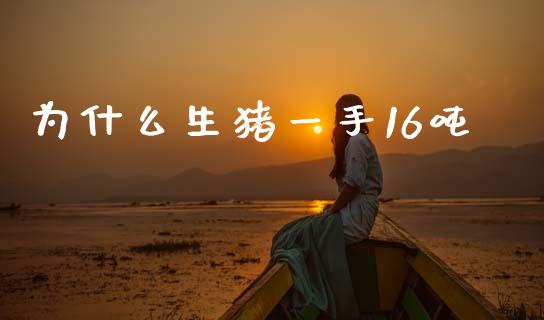 为什么生猪一手16吨_https://www.ltsssb.com_股票理论_第1张