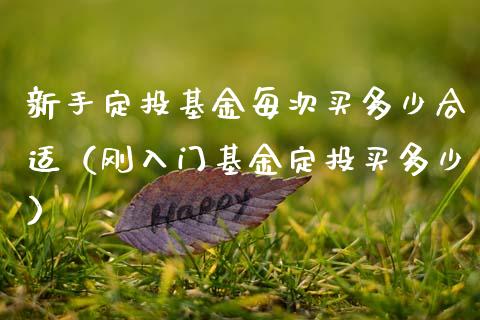 新手定投基金每次买多少合适（刚入门基金定投买多少）_https://www.ltsssb.com_基金频道_第1张