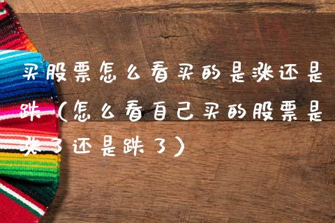 买股票怎么看买的是涨还是跌（怎么看自己买的股票是涨了还是跌了）_https://www.ltsssb.com_股市分析_第1张