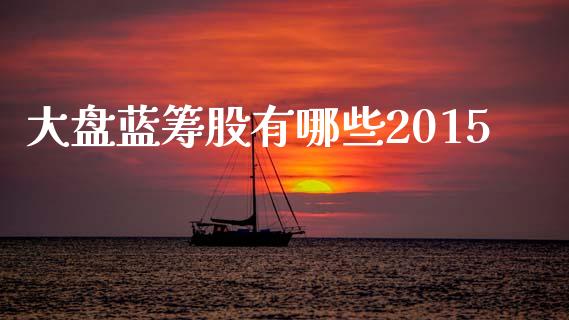 大盘蓝筹股有哪些2015_https://www.ltsssb.com_期货在线_第1张