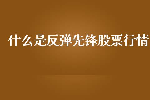 什么是反弹先锋股票行情_https://www.ltsssb.com_新股数据_第1张