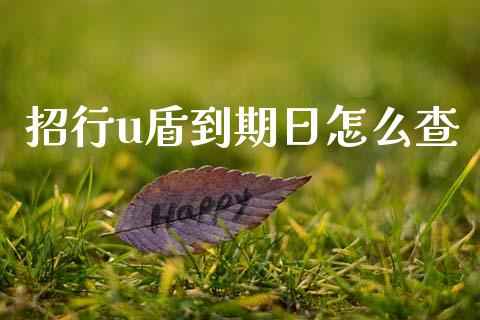 招行u盾到期日怎么查_https://www.ltsssb.com_期货在线_第1张