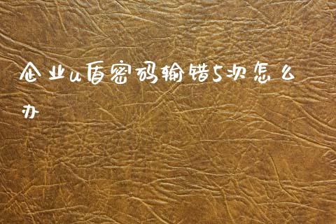 企业u盾密码输错5次怎么办_https://www.ltsssb.com_股票理论_第1张