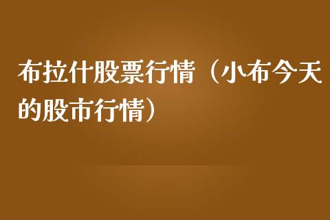 布拉什股票行情（小布今天的股市行情）_https://www.ltsssb.com_股市分析_第1张