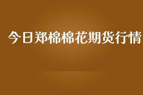 今日郑棉棉花期货行情_https://www.ltsssb.com_期货行情_第1张