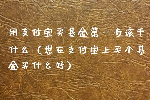 用支付宝买基金第一步该干什么（想在支付宝上买个基金买什么好）_https://www.ltsssb.com_国际财经_第1张