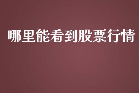 哪里能看到股票行情_https://www.ltsssb.com_股市分析_第1张