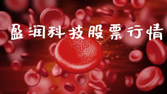 盈润科技股票行情_https://www.ltsssb.com_股市分析_第1张