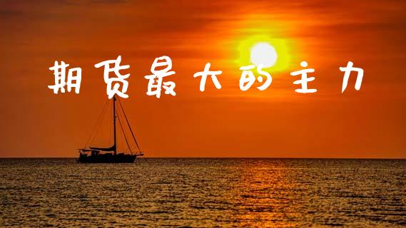 期货最大的主力_https://www.ltsssb.com_股票理论_第1张