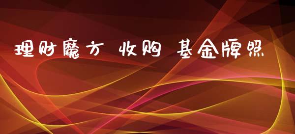 理财魔方 收购 基金牌照_https://www.ltsssb.com_国际财经_第1张
