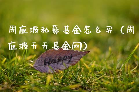 周应波私募基金怎么买（周应波天天基金网）_https://www.ltsssb.com_基金频道_第1张