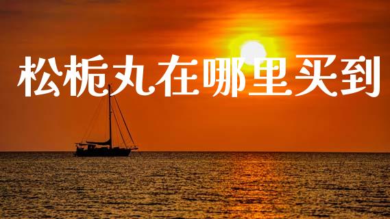 松栀丸在哪里买到_https://www.ltsssb.com_期货密码_第1张