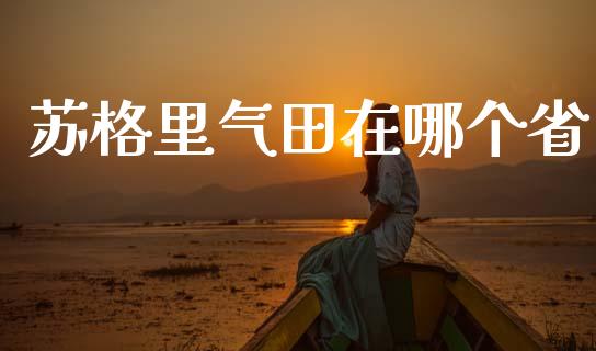 苏格里气田在哪个省_https://www.ltsssb.com_基金频道_第1张