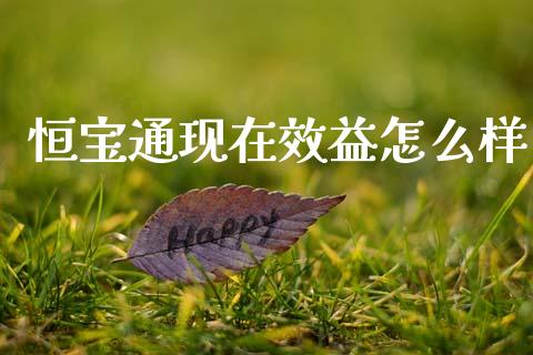 恒宝通现在效益怎么样_国际财经_第1张_IT财经网 恒宝通现在效益怎么样_https://www.ltsssb.com_国际财经_第1张
