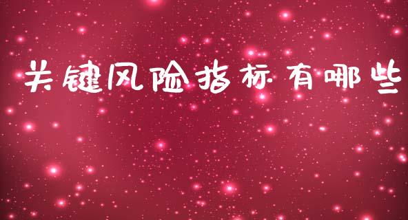 关键风险指标有哪些_https://www.ltsssb.com_国际财经_第1张