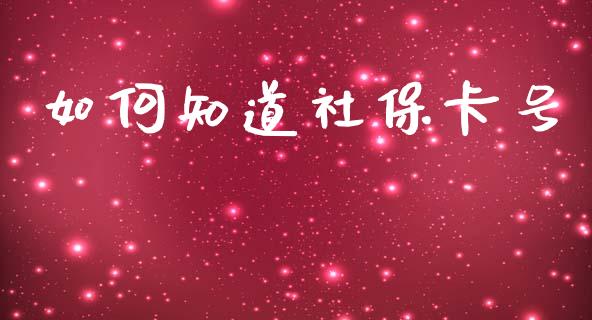 如何知道社保卡号_https://www.ltsssb.com_期货密码_第1张