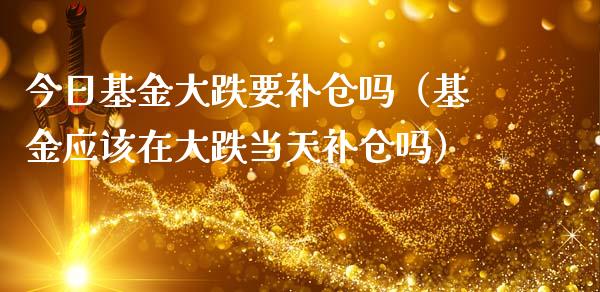 今日基金大跌要补仓吗（基金应该在大跌当天补仓吗）_https://www.ltsssb.com_基金频道_第1张