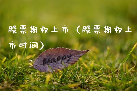 股票期权上市（股票期权上市时间）_https://www.ltsssb.com_期货密码_第1张