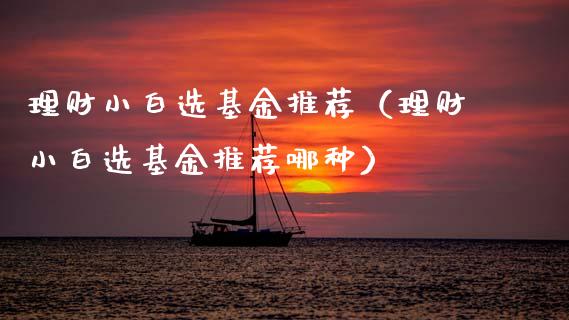 理财小白选基金推荐（理财小白选基金推荐哪种）_https://www.ltsssb.com_基金频道_第1张