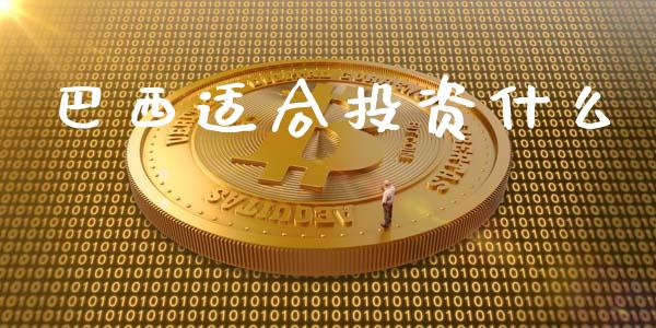 巴西适合投资什么_https://www.ltsssb.com_期货在线_第1张