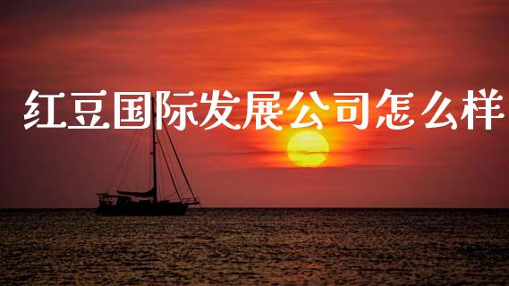 红豆国际发展公司怎么样_https://www.ltsssb.com_国际财经_第1张