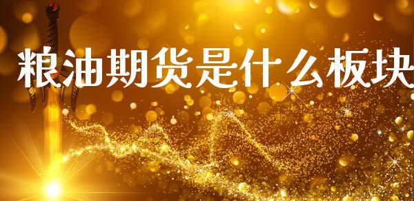 粮油期货是什么板块_https://www.ltsssb.com_股市分析_第1张