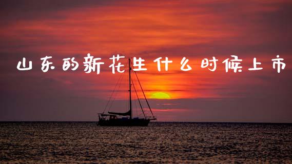 山东的新花生什么时候上市_期货行情_第1张_IT财经网 山东的新花生什么时候上市_https://www.ltsssb.com_期货行情_第1张