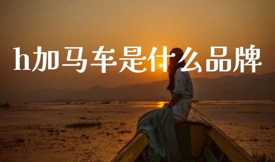 h加马车是什么品牌_https://www.ltsssb.com_股市分析_第1张