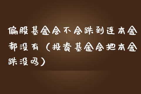 偏股基金会不会跌到连本金都没有（投资基金会把本金跌没吗）_https://www.ltsssb.com_国际财经_第1张